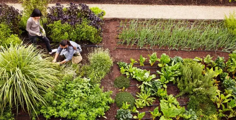 Secret Gardens: 6 Great Farm-to-Table Restaurants