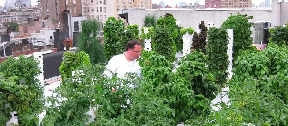 hp-slide-BBC_rooftopgarden-08