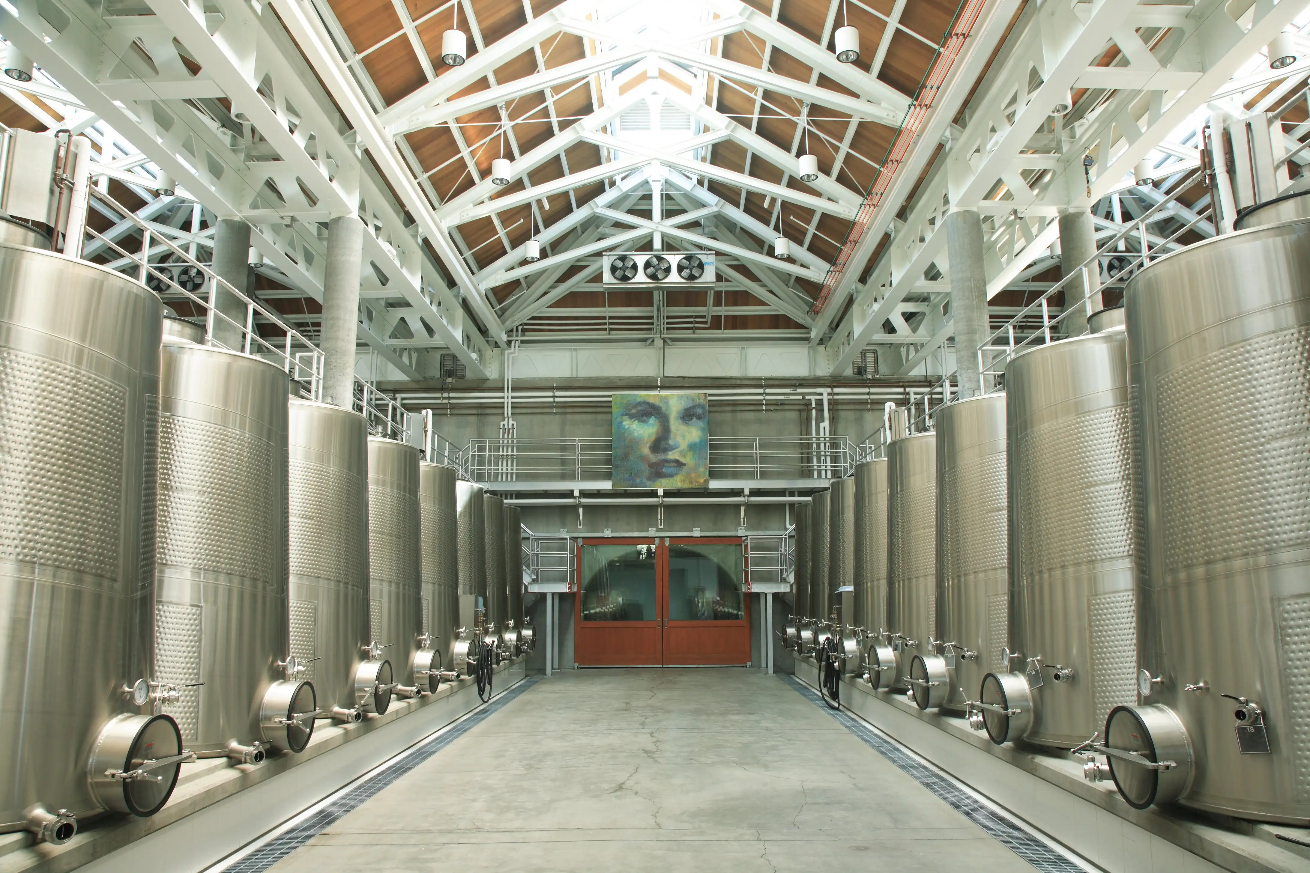Stainless Steel tanks in Cliff Lede's fermenting room